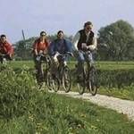 A vélo, comment circuler en ville ?. Publié le 30/05/11. Montauban